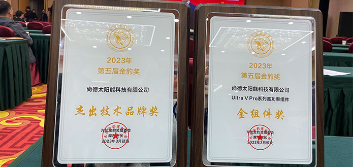 实力诠释!尚德电力荣获2023PVTD“金豹奖”两项技术大奖